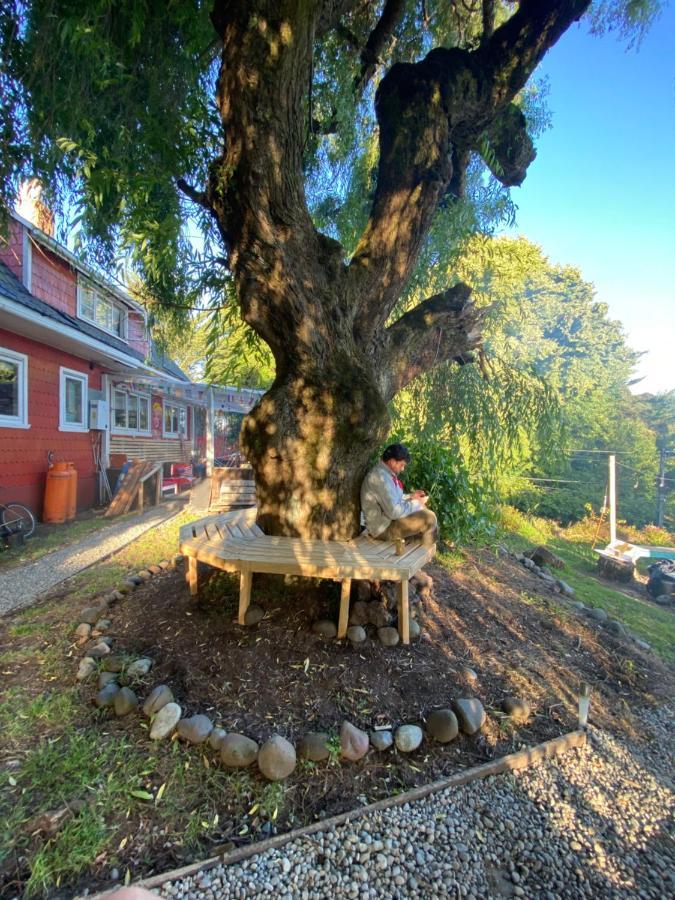 La Guapa Hostel プエルト・バラス エクステリア 写真